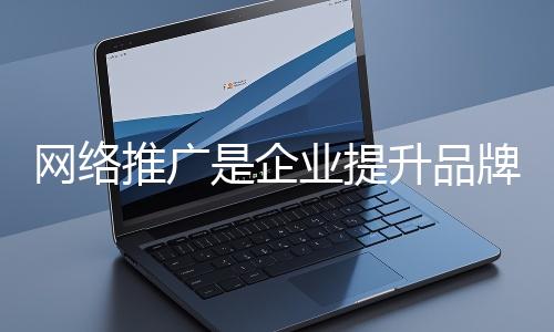 網絡推廣是企業提升品牌影響力、拓展市場的重要手段